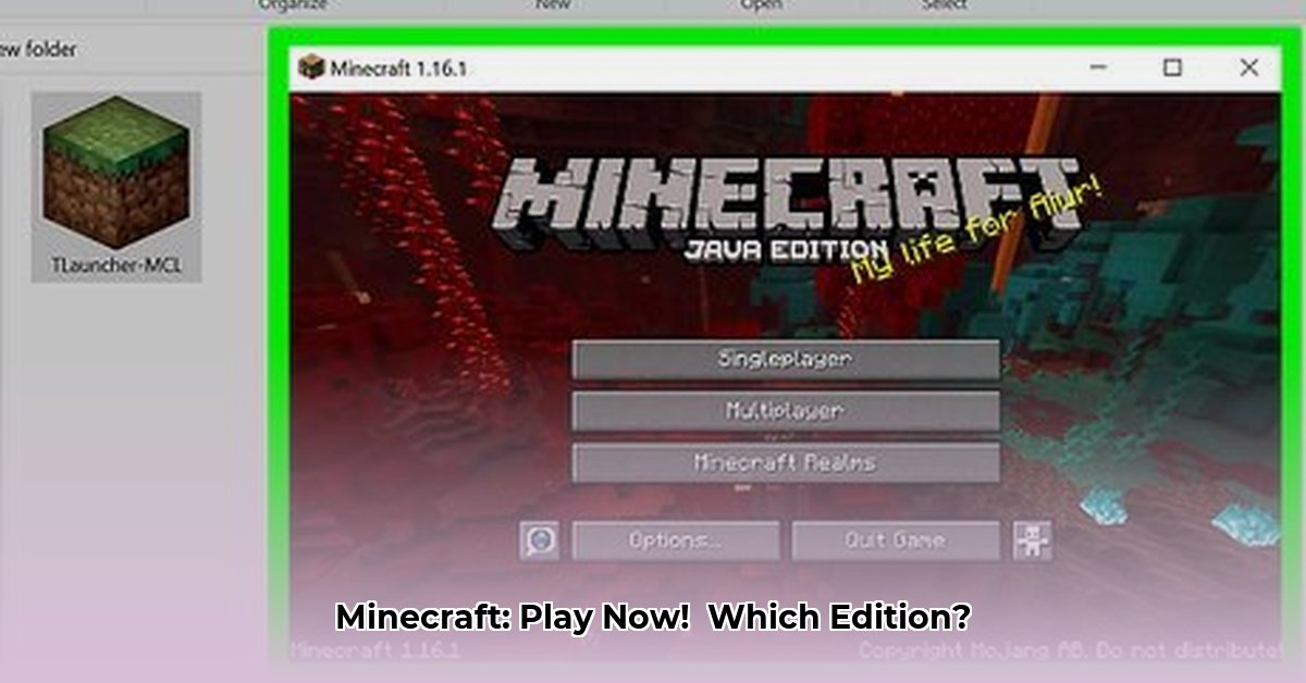 minecraft-download-page